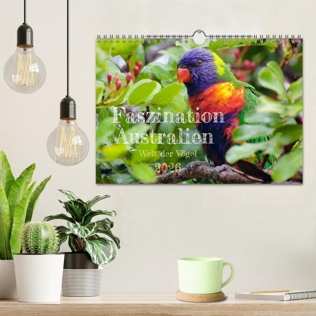 Weitere Ansicht: Faszination Australien - Welt der Vögel (Wandkalender 2026 DIN A4 quer), CALVENDO Monatskalender | Holm Anders, Calvendo
