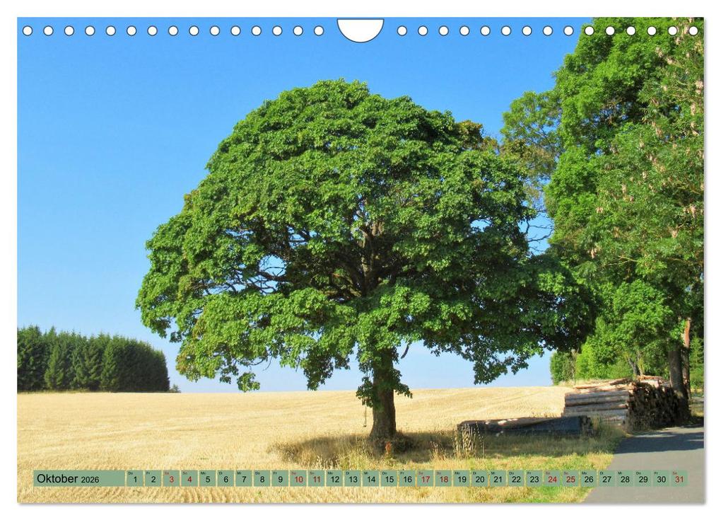 Weitere Ansicht: Frankenwald - Wandern in Oberfranken und Thüringen (Wandkalender 2026 DIN A4 quer), CALVENDO Monatskalender | Martin Gillner, Calvendo
