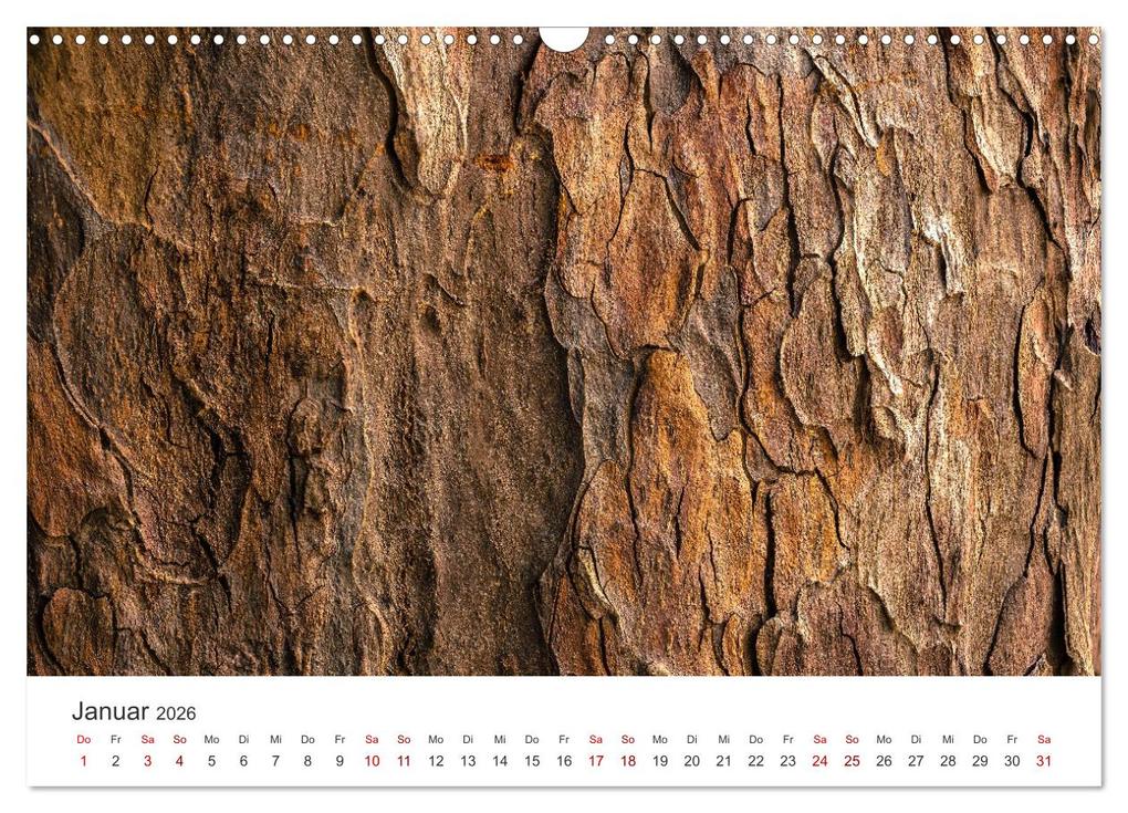 Weitere Ansicht: ZEN - Eine Reise zu sich selbst (Wandkalender 2026 DIN A3 quer), CALVENDO Monatskalender | SF SF, Calvendo, SF