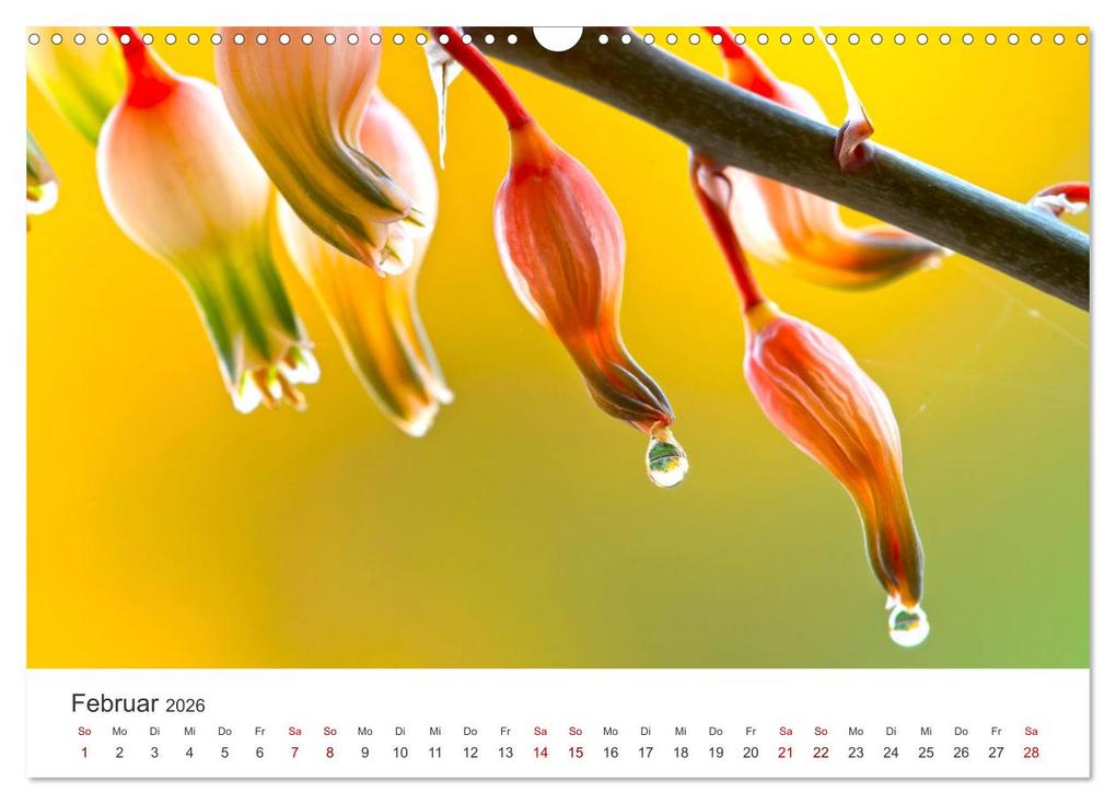 Weitere Ansicht: ZEN - Eine Reise zu sich selbst (Wandkalender 2026 DIN A3 quer), CALVENDO Monatskalender | SF SF, Calvendo, SF