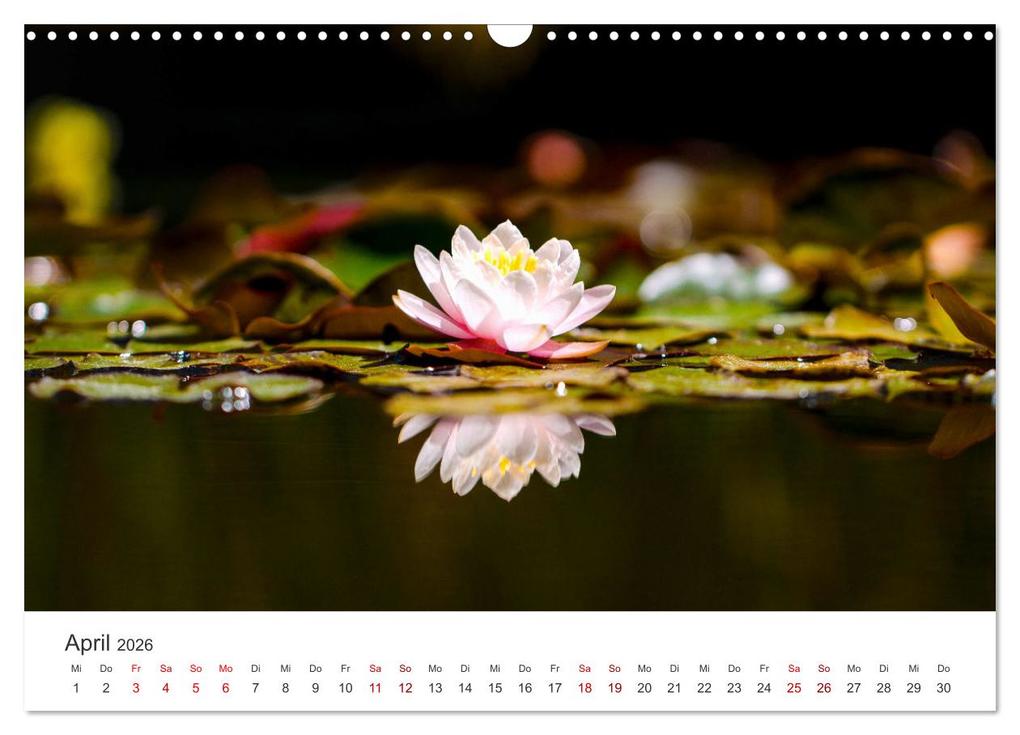 Weitere Ansicht: ZEN - Eine Reise zu sich selbst (Wandkalender 2026 DIN A3 quer), CALVENDO Monatskalender | SF SF, Calvendo, SF