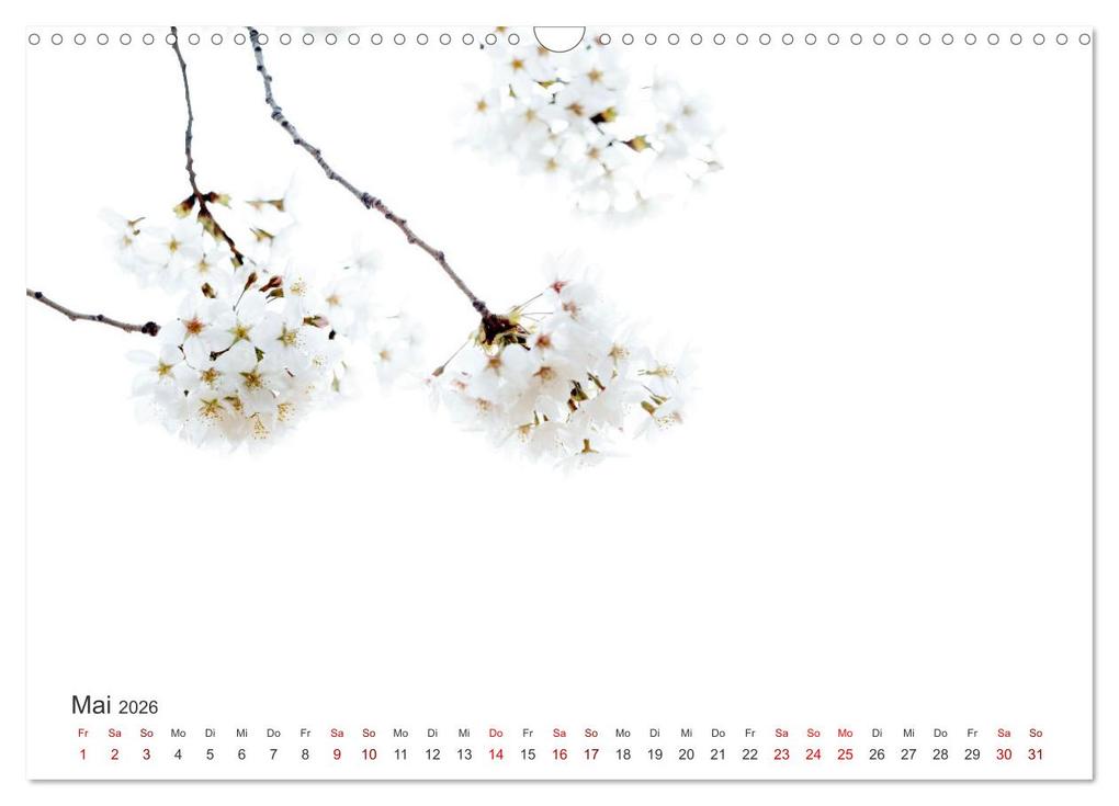 Weitere Ansicht: ZEN - Eine Reise zu sich selbst (Wandkalender 2026 DIN A3 quer), CALVENDO Monatskalender | SF SF, Calvendo, SF