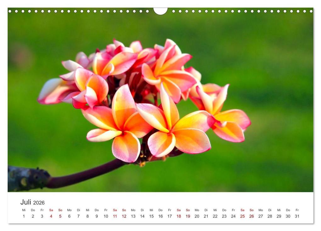 Weitere Ansicht: ZEN - Eine Reise zu sich selbst (Wandkalender 2026 DIN A3 quer), CALVENDO Monatskalender | SF SF, Calvendo, SF