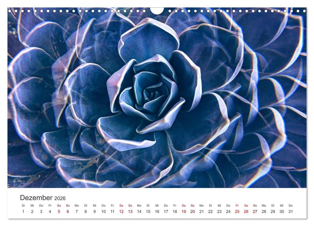 Weitere Ansicht: ZEN - Eine Reise zu sich selbst (Wandkalender 2026 DIN A3 quer), CALVENDO Monatskalender | SF SF, Calvendo, SF
