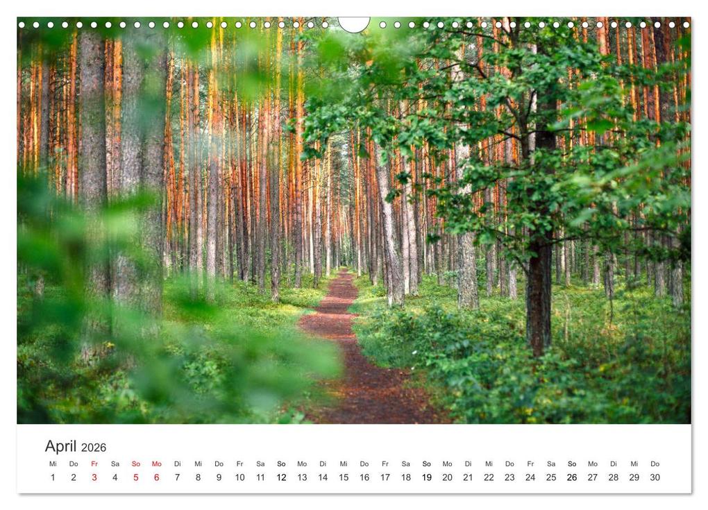 Weitere Ansicht: Weisheit - Der Weg ist das Ziel (Wandkalender 2026 DIN A3 quer), CALVENDO Monatskalender | Calvendo, SF, SF SF
