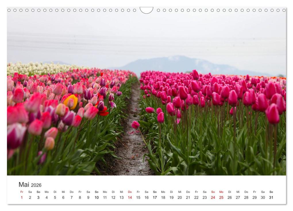 Weitere Ansicht: Weisheit - Der Weg ist das Ziel (Wandkalender 2026 DIN A3 quer), CALVENDO Monatskalender | Calvendo, SF, SF SF