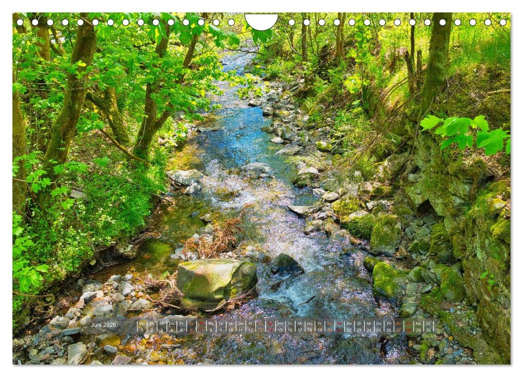 Weitere Ansicht: Faszination Thüringer Wald (Wandkalender 2026 DIN A4 quer), CALVENDO Monatskalender | Calvendo, Torsten Irmer