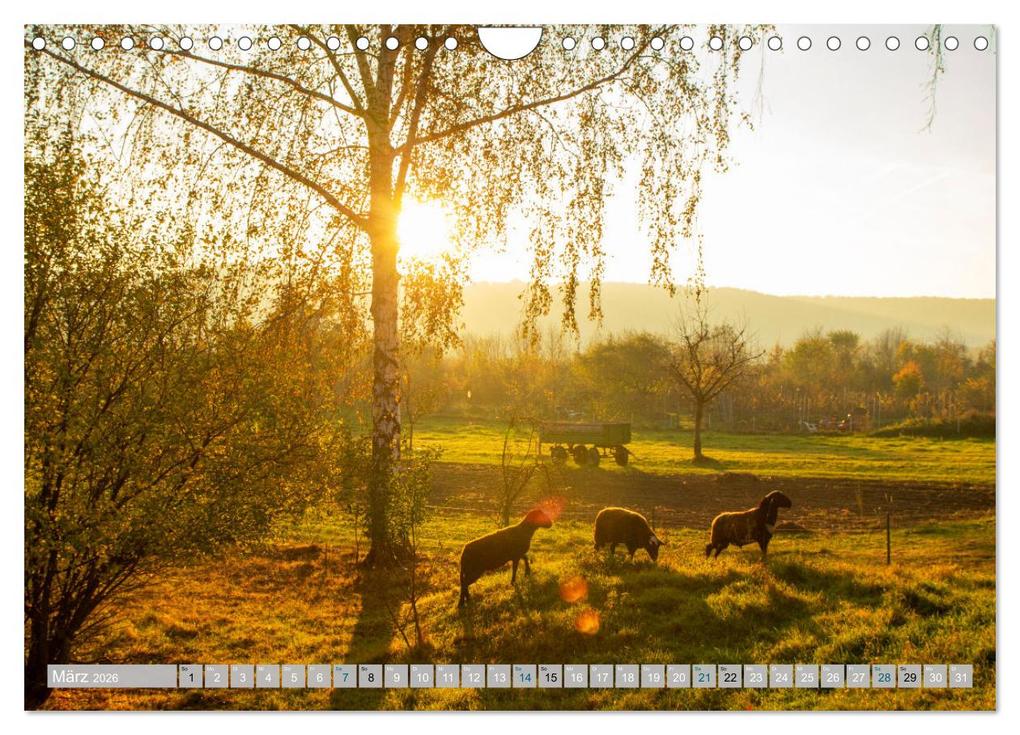 Weitere Ansicht: Streifzüge durch die Hebelei (Wandkalender 2026 DIN A4 quer), CALVENDO Monatskalender | Calvendo, Drachenkind-Fotografie, Drachenkind-Fotografie Drachenkind-Fotografie