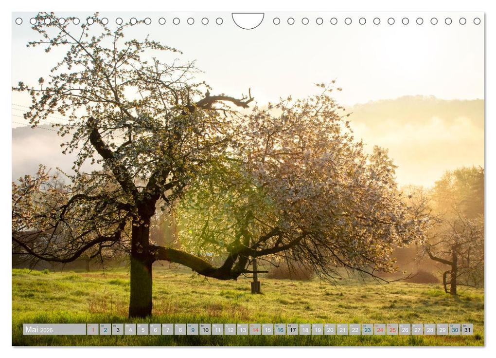 Weitere Ansicht: Streifzüge durch die Hebelei (Wandkalender 2026 DIN A4 quer), CALVENDO Monatskalender | Calvendo, Drachenkind-Fotografie, Drachenkind-Fotografie Drachenkind-Fotografie