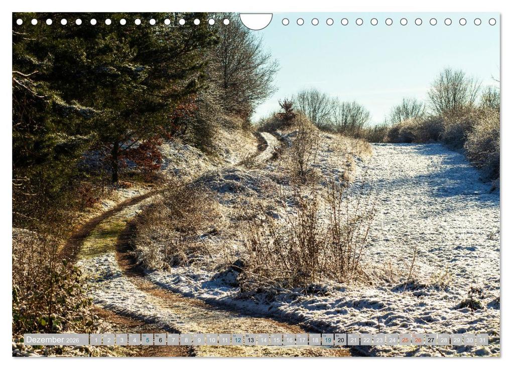 Weitere Ansicht: Streifzüge durch die Hebelei (Wandkalender 2026 DIN A4 quer), CALVENDO Monatskalender | Calvendo, Drachenkind-Fotografie, Drachenkind-Fotografie Drachenkind-Fotografie