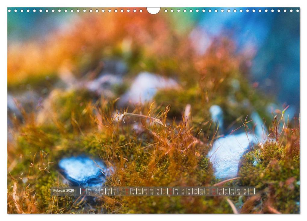 Weitere Ansicht: Vielfalt am Waldboden (Wandkalender 2026 DIN A3 quer), CALVENDO Monatskalender | Calvendo, Torsten Irmer