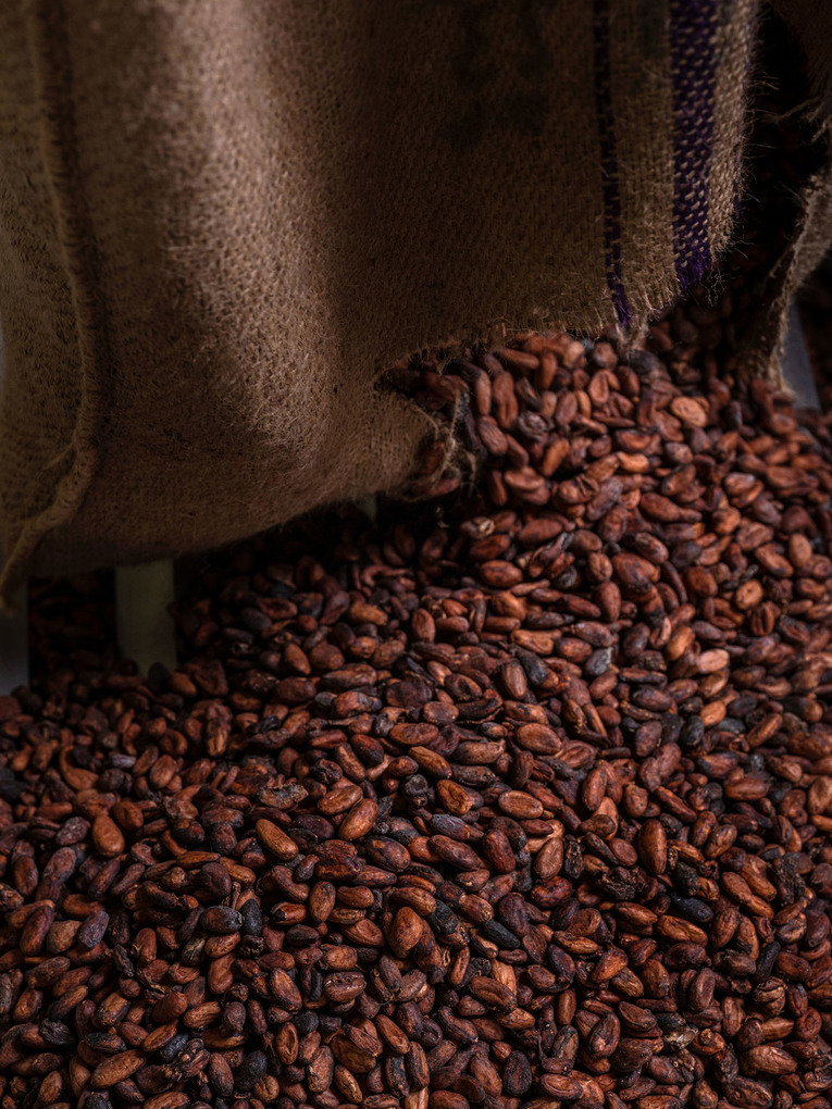 Weitere Ansicht: Schweizer Schokolade | Dominik Flammer