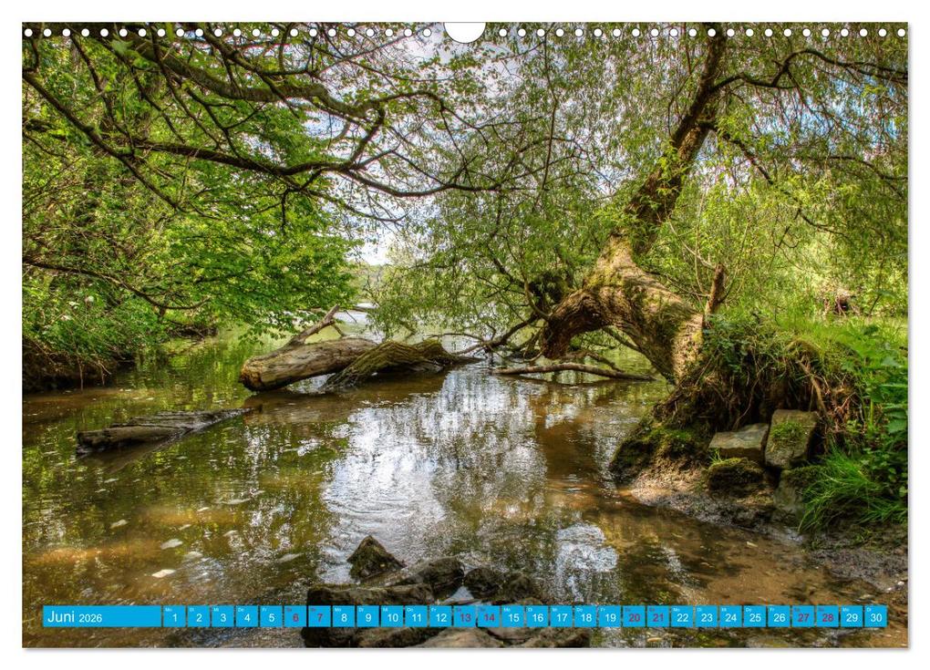 Weitere Ansicht: Natur pur - Volkach am Main (Wandkalender 2026 DIN A3 quer), CALVENDO Monatskalender | saschahaas photography, Calvendo