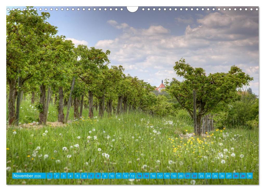 Weitere Ansicht: Natur pur - Volkach am Main (Wandkalender 2026 DIN A3 quer), CALVENDO Monatskalender | saschahaas photography, Calvendo