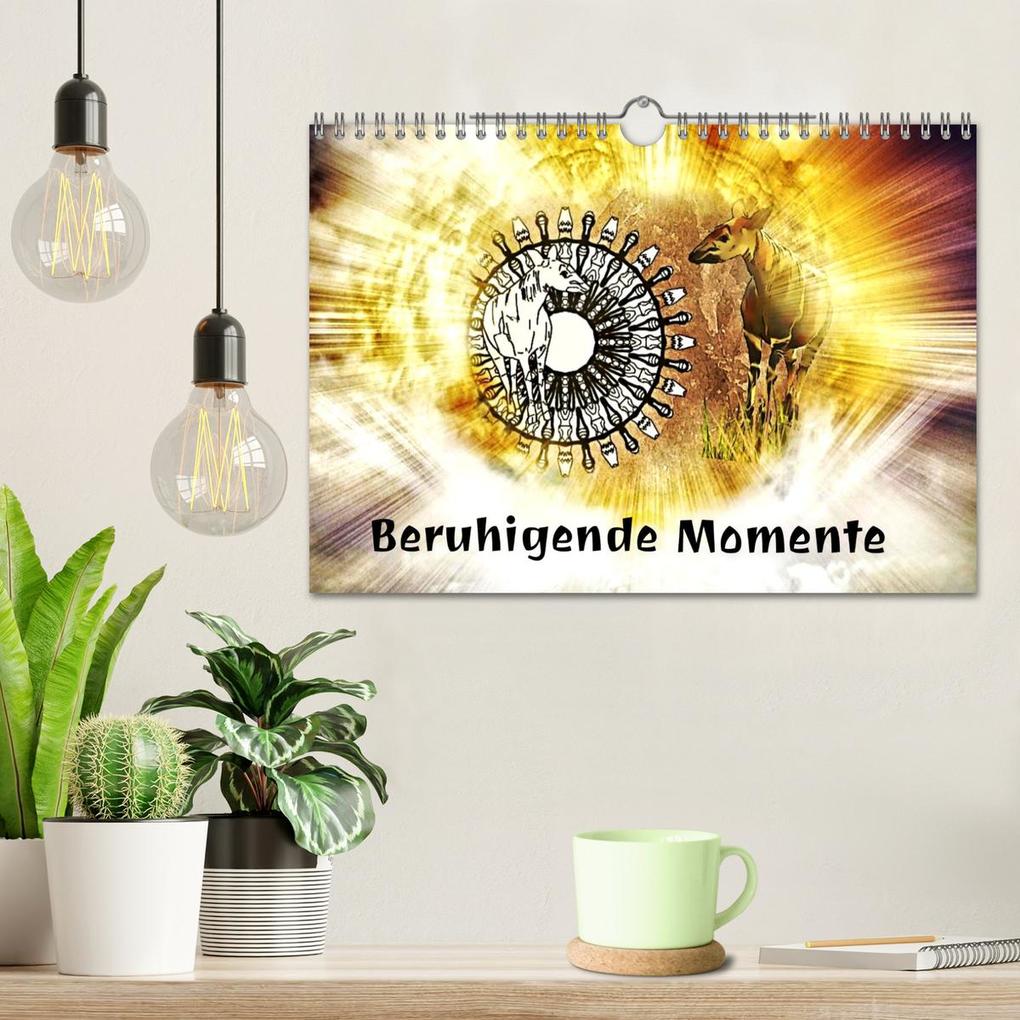 Weitere Ansicht: Mandalas 2026 - Beruhigende Momente (Wandkalender 2026 DIN A4 quer), CALVENDO Monatskalender | Rufebo Rufebo, Calvendo, Rufebo