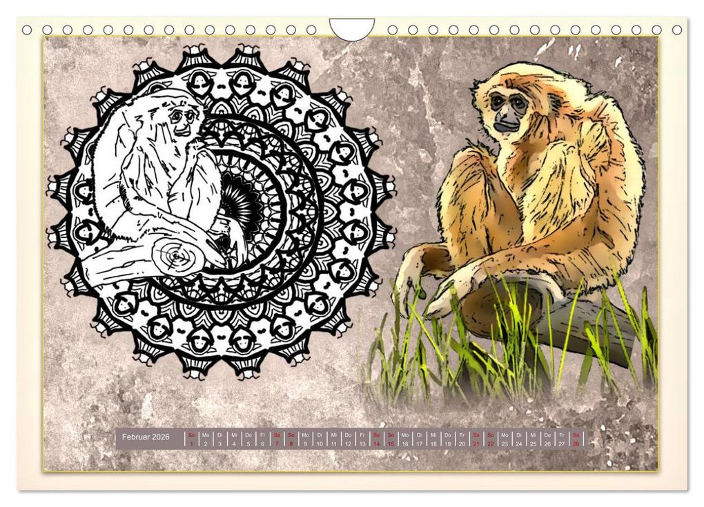 Weitere Ansicht: Mandalas 2026 - Beruhigende Momente (Wandkalender 2026 DIN A4 quer), CALVENDO Monatskalender | Rufebo Rufebo, Calvendo, Rufebo