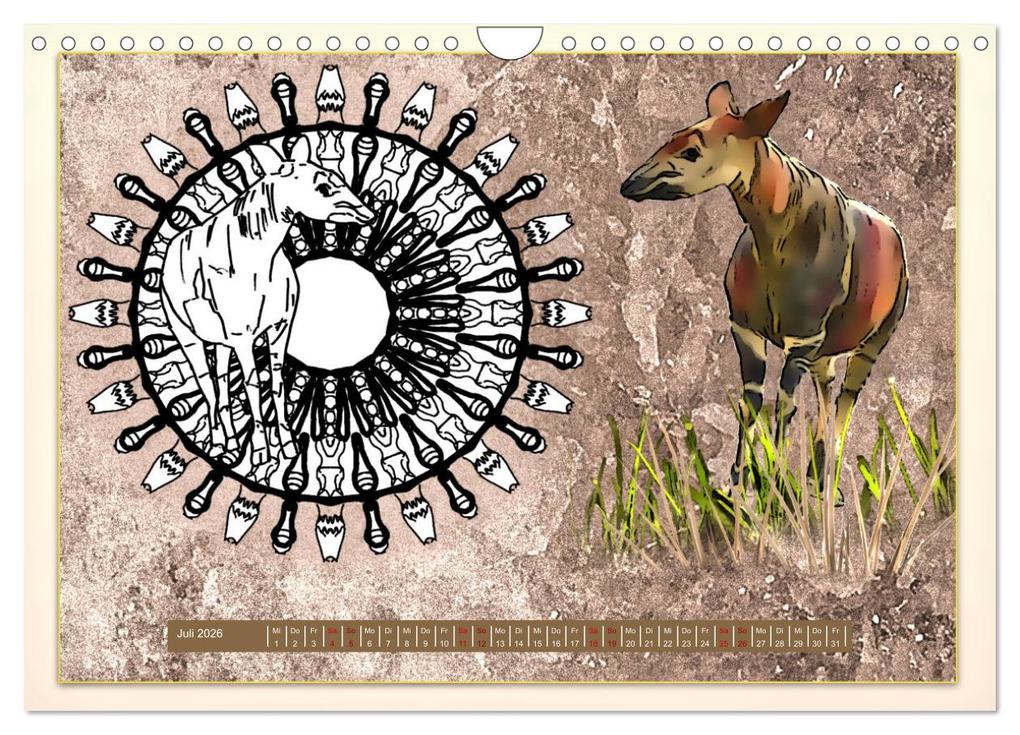 Weitere Ansicht: Mandalas 2026 - Beruhigende Momente (Wandkalender 2026 DIN A4 quer), CALVENDO Monatskalender | Rufebo Rufebo, Calvendo, Rufebo