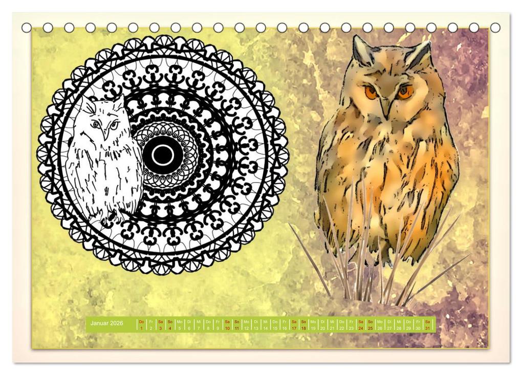 Weitere Ansicht: Mandalas 2026 - Beruhigende Momente (Tischkalender 2026 DIN A5 quer), CALVENDO Monatskalender | Rufebo Rufebo, Calvendo, Rufebo