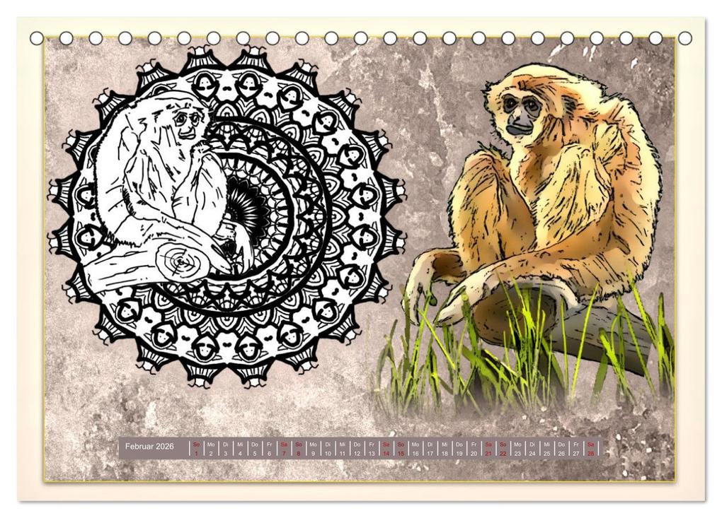 Weitere Ansicht: Mandalas 2026 - Beruhigende Momente (Tischkalender 2026 DIN A5 quer), CALVENDO Monatskalender | Rufebo Rufebo, Calvendo, Rufebo