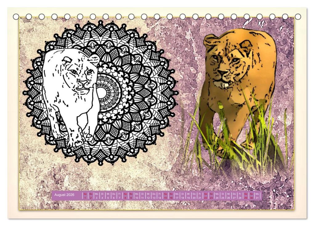 Weitere Ansicht: Mandalas 2026 - Beruhigende Momente (Tischkalender 2026 DIN A5 quer), CALVENDO Monatskalender | Rufebo Rufebo, Calvendo, Rufebo
