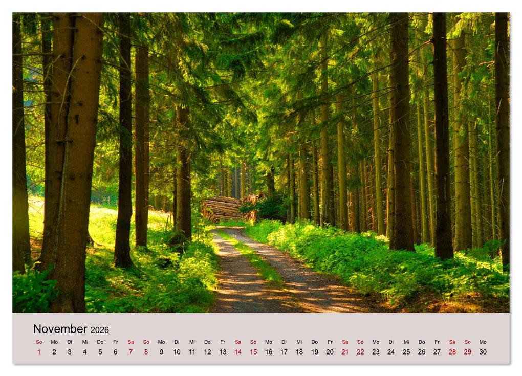 Weitere Ansicht: Naturerlebnis Thüringen (Wandkalender 2026 DIN A4 quer), CALVENDO Monatskalender | Tanja Voigt, Calvendo