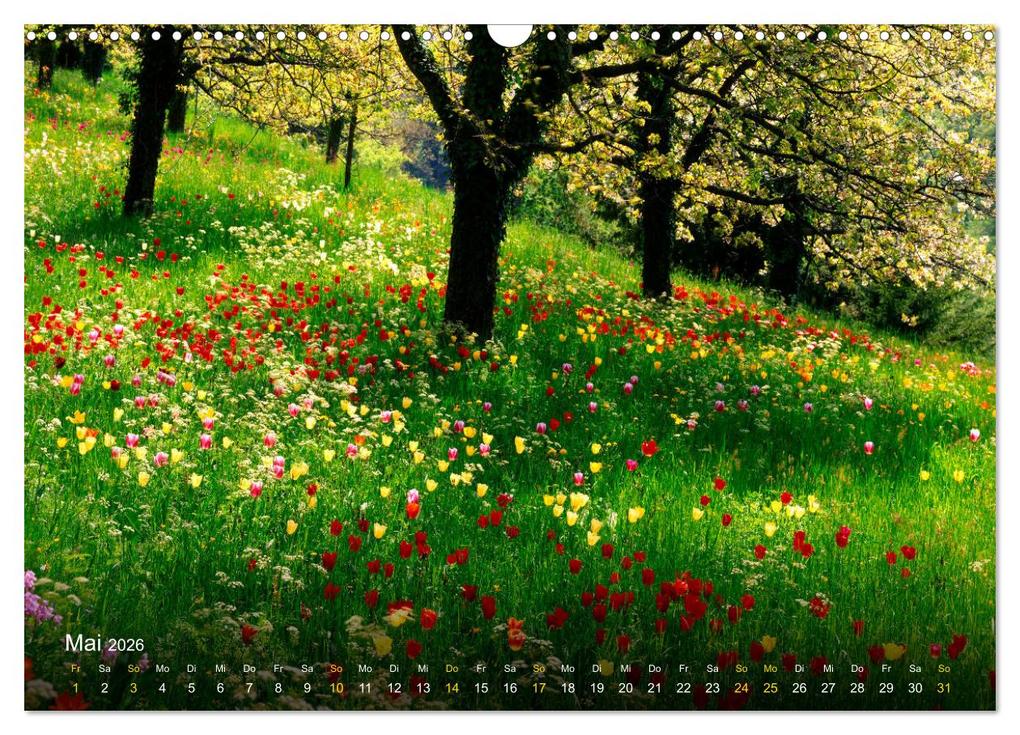 Weitere Ansicht: Traum Momente (Wandkalender 2026 DIN A3 quer), CALVENDO Monatskalender | Edmund Nägele F.R.P.S., Calvendo