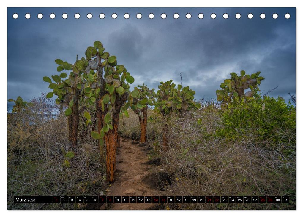 Weitere Ansicht: Ecuador - Naturparadies am Äquator (Tischkalender 2026 DIN A5 quer), CALVENDO Monatskalender | Tom Czermak, Calvendo