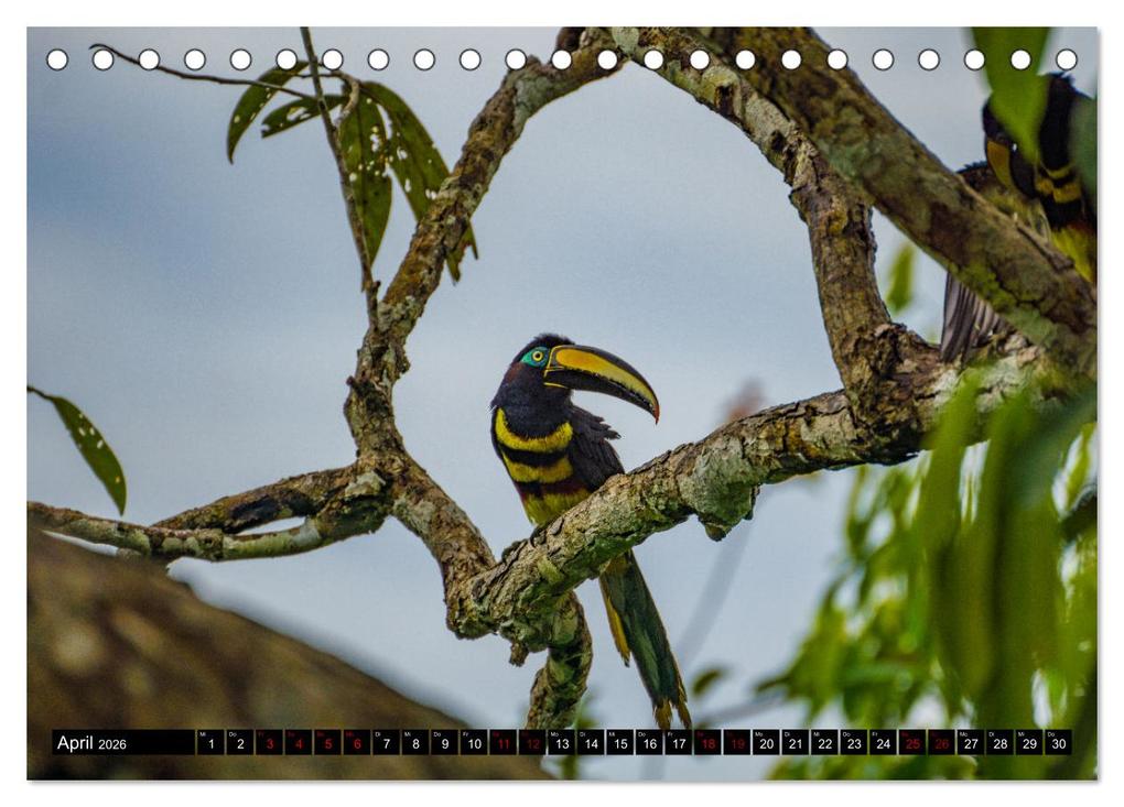 Weitere Ansicht: Ecuador - Naturparadies am Äquator (Tischkalender 2026 DIN A5 quer), CALVENDO Monatskalender | Tom Czermak, Calvendo