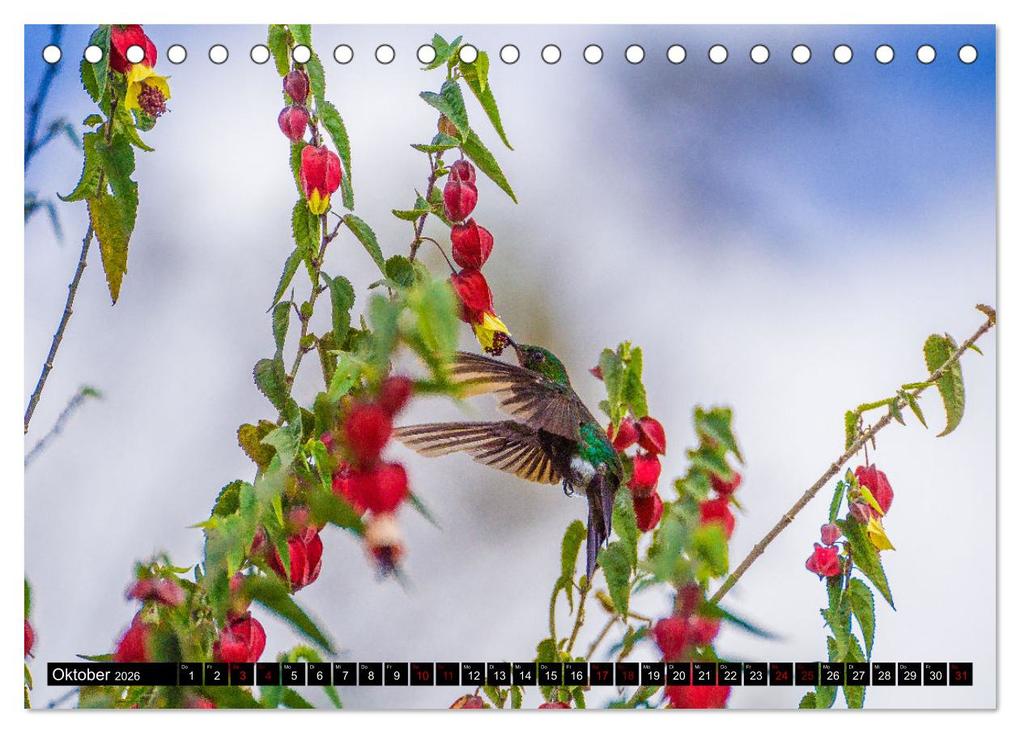 Weitere Ansicht: Ecuador - Naturparadies am Äquator (Tischkalender 2026 DIN A5 quer), CALVENDO Monatskalender | Tom Czermak, Calvendo