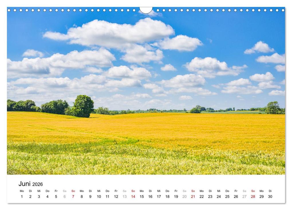 Weitere Ansicht: Schleswig-Holstein, ein Fest der Sinne (Wandkalender 2026 DIN A3 quer), CALVENDO Monatskalender | Rainer Plett, Calvendo