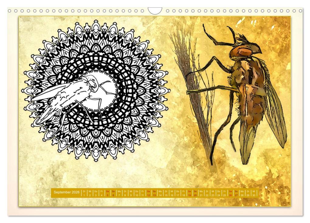 Weitere Ansicht: Mandalas 2026 - Beruhigende Momente (Wandkalender 2026 DIN A3 quer), CALVENDO Monatskalender | Rufebo Rufebo, Calvendo, Rufebo