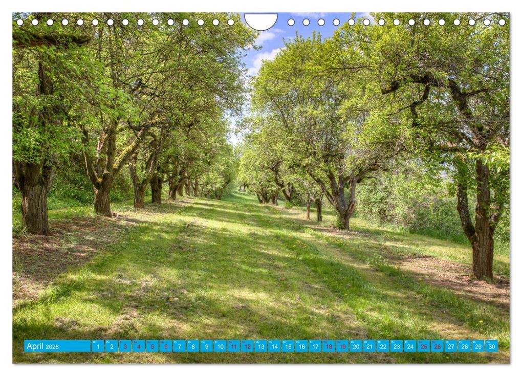 Weitere Ansicht: Natur pur - Volkach am Main (Wandkalender 2026 DIN A4 quer), CALVENDO Monatskalender | saschahaas photography, Calvendo