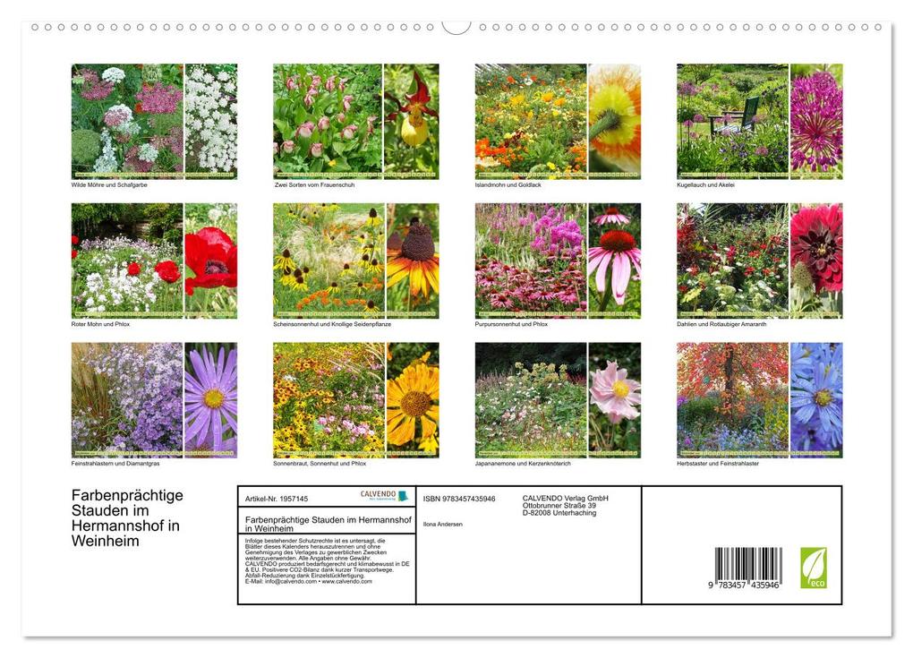 Weitere Ansicht: Farbenprächtige Stauden im Hermannshof in Weinheim (hochwertiger Premium Wandkalender 2026 DIN A2 quer), Kunstdruck in Hochglanz | Ilona Andersen, Calvendo
