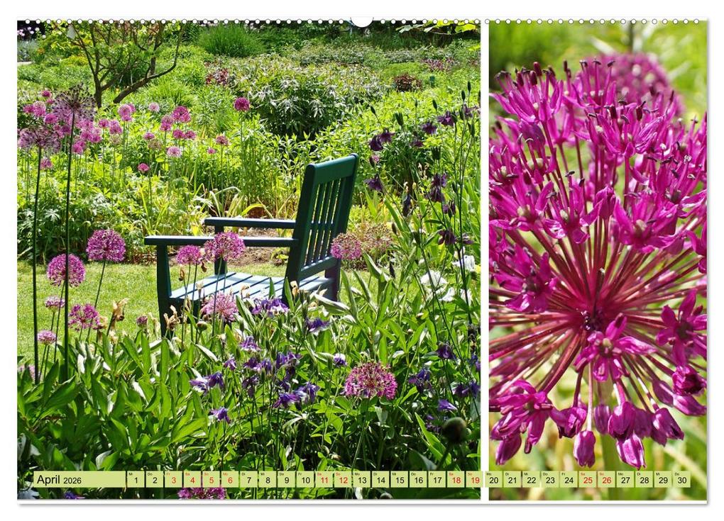 Weitere Ansicht: Farbenprächtige Stauden im Hermannshof in Weinheim (hochwertiger Premium Wandkalender 2026 DIN A2 quer), Kunstdruck in Hochglanz | Ilona Andersen, Calvendo