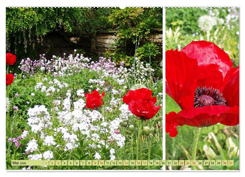 Weitere Ansicht: Farbenprächtige Stauden im Hermannshof in Weinheim (hochwertiger Premium Wandkalender 2026 DIN A2 quer), Kunstdruck in Hochglanz | Ilona Andersen, Calvendo