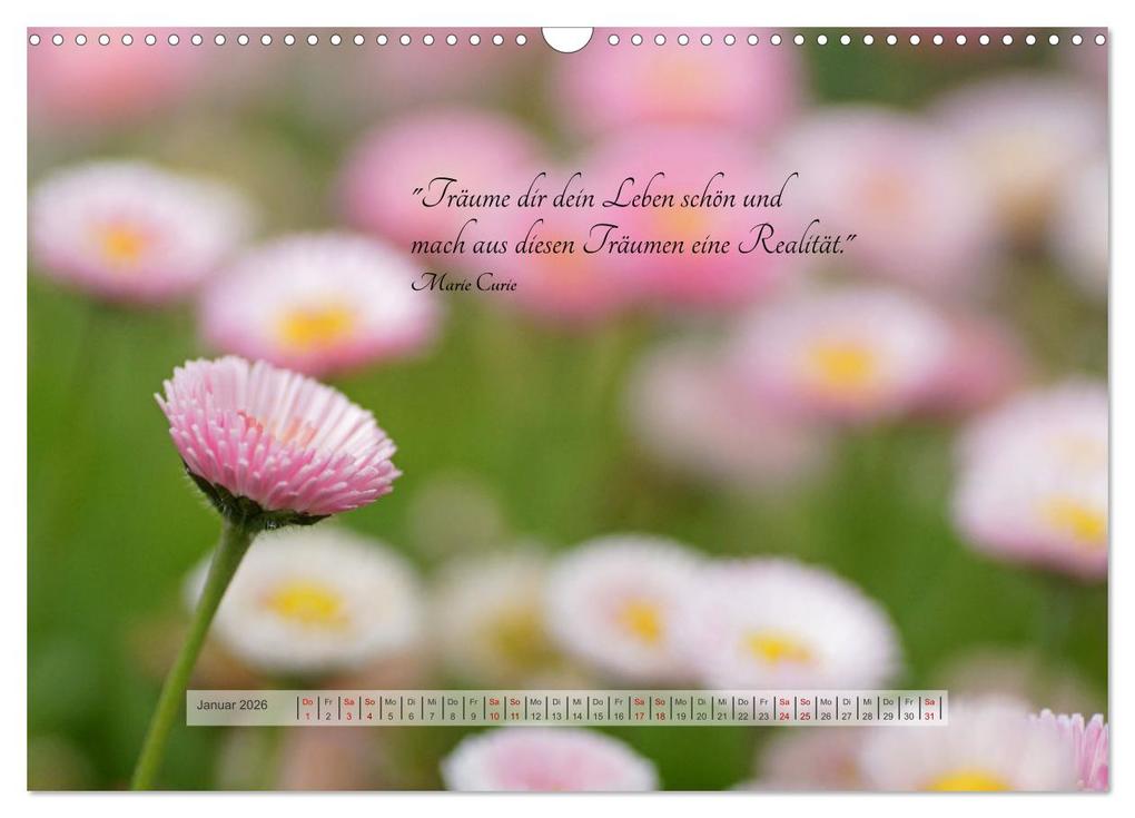 Weitere Ansicht: Motivierende Sprüche - gestärkt durch das Jahr (Wandkalender 2026 DIN A3 quer), CALVENDO Monatskalender | Beate Bussenius, Calvendo