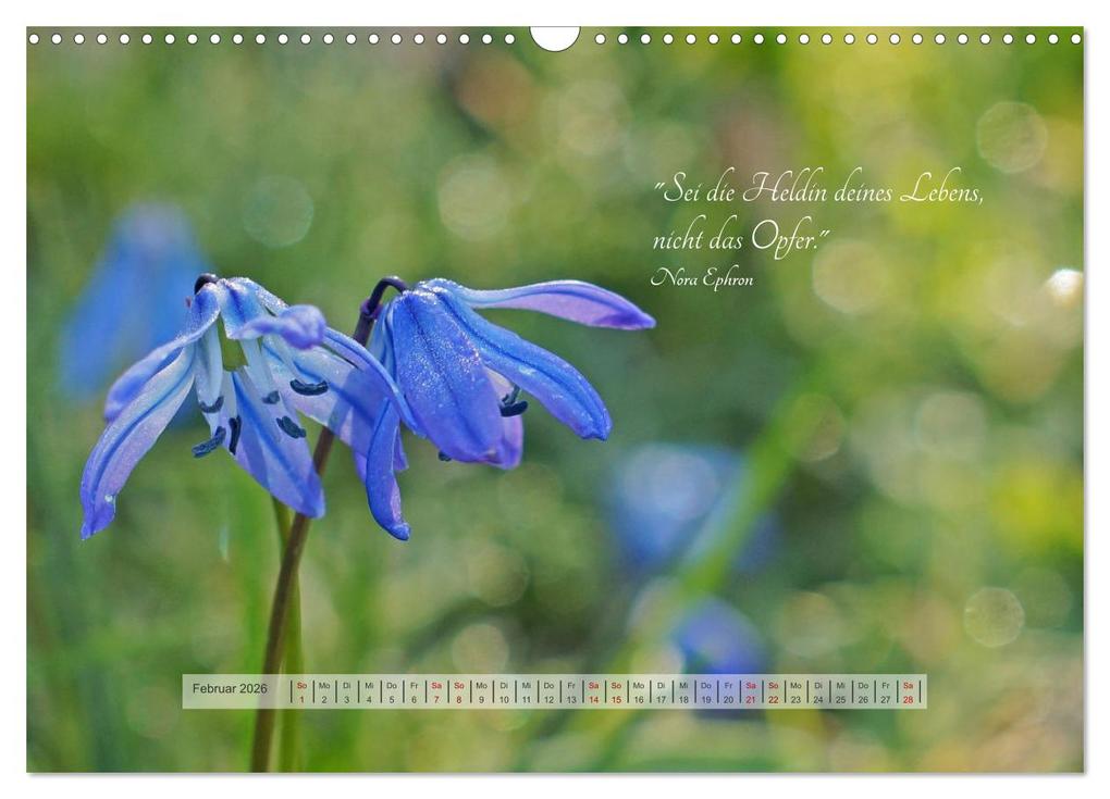 Weitere Ansicht: Motivierende Sprüche - gestärkt durch das Jahr (Wandkalender 2026 DIN A3 quer), CALVENDO Monatskalender | Beate Bussenius, Calvendo