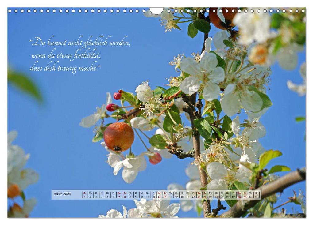 Weitere Ansicht: Motivierende Sprüche - gestärkt durch das Jahr (Wandkalender 2026 DIN A3 quer), CALVENDO Monatskalender | Beate Bussenius, Calvendo