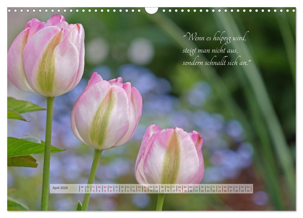 Weitere Ansicht: Motivierende Sprüche - gestärkt durch das Jahr (Wandkalender 2026 DIN A3 quer), CALVENDO Monatskalender | Beate Bussenius, Calvendo