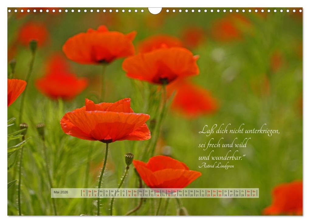 Weitere Ansicht: Motivierende Sprüche - gestärkt durch das Jahr (Wandkalender 2026 DIN A3 quer), CALVENDO Monatskalender | Beate Bussenius, Calvendo