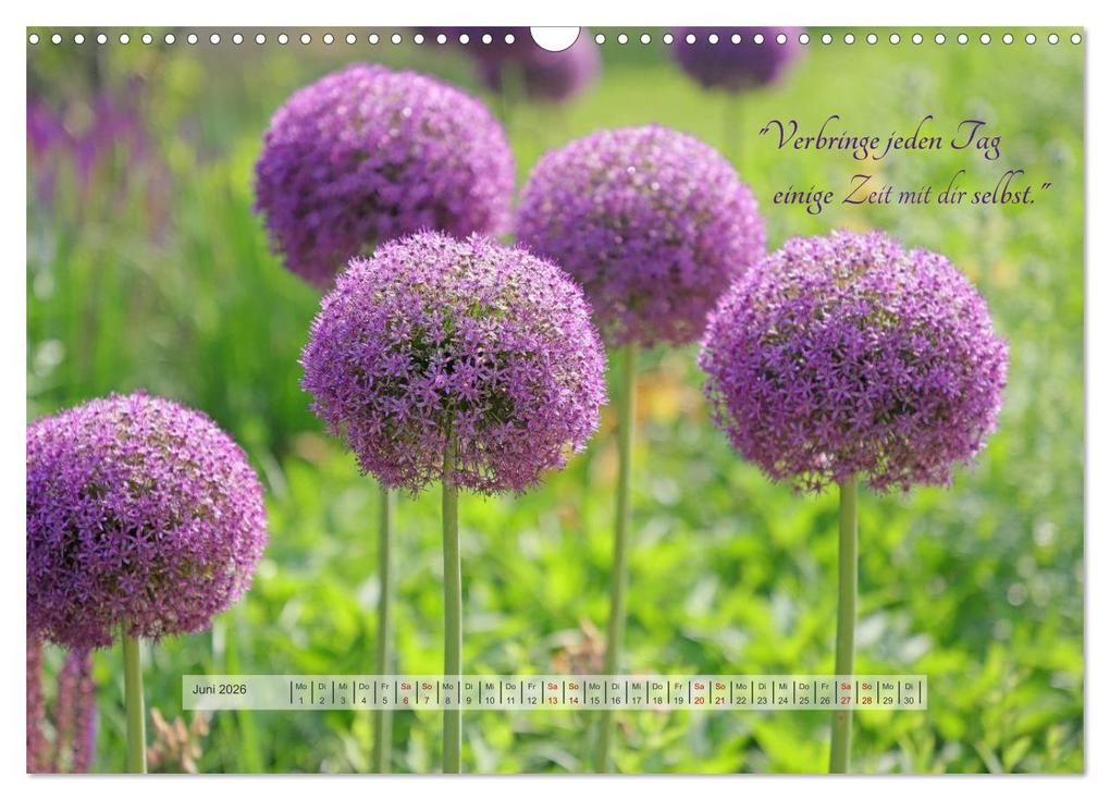 Weitere Ansicht: Motivierende Sprüche - gestärkt durch das Jahr (Wandkalender 2026 DIN A3 quer), CALVENDO Monatskalender | Beate Bussenius, Calvendo