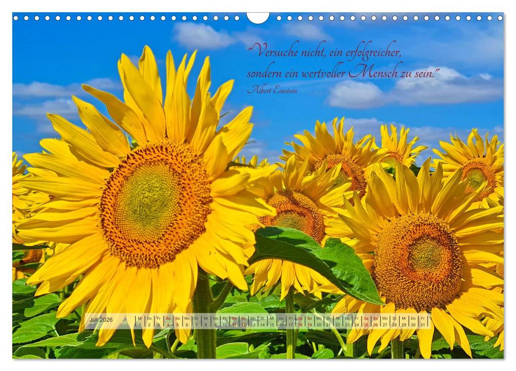 Weitere Ansicht: Motivierende Sprüche - gestärkt durch das Jahr (Wandkalender 2026 DIN A3 quer), CALVENDO Monatskalender | Beate Bussenius, Calvendo