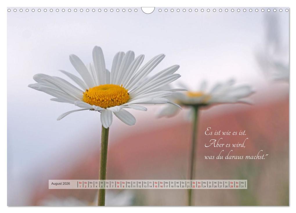 Weitere Ansicht: Motivierende Sprüche - gestärkt durch das Jahr (Wandkalender 2026 DIN A3 quer), CALVENDO Monatskalender | Beate Bussenius, Calvendo