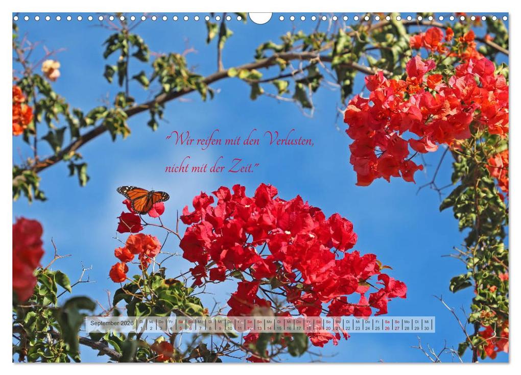 Weitere Ansicht: Motivierende Sprüche - gestärkt durch das Jahr (Wandkalender 2026 DIN A3 quer), CALVENDO Monatskalender | Beate Bussenius, Calvendo