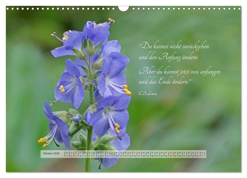 Weitere Ansicht: Motivierende Sprüche - gestärkt durch das Jahr (Wandkalender 2026 DIN A3 quer), CALVENDO Monatskalender | Beate Bussenius, Calvendo