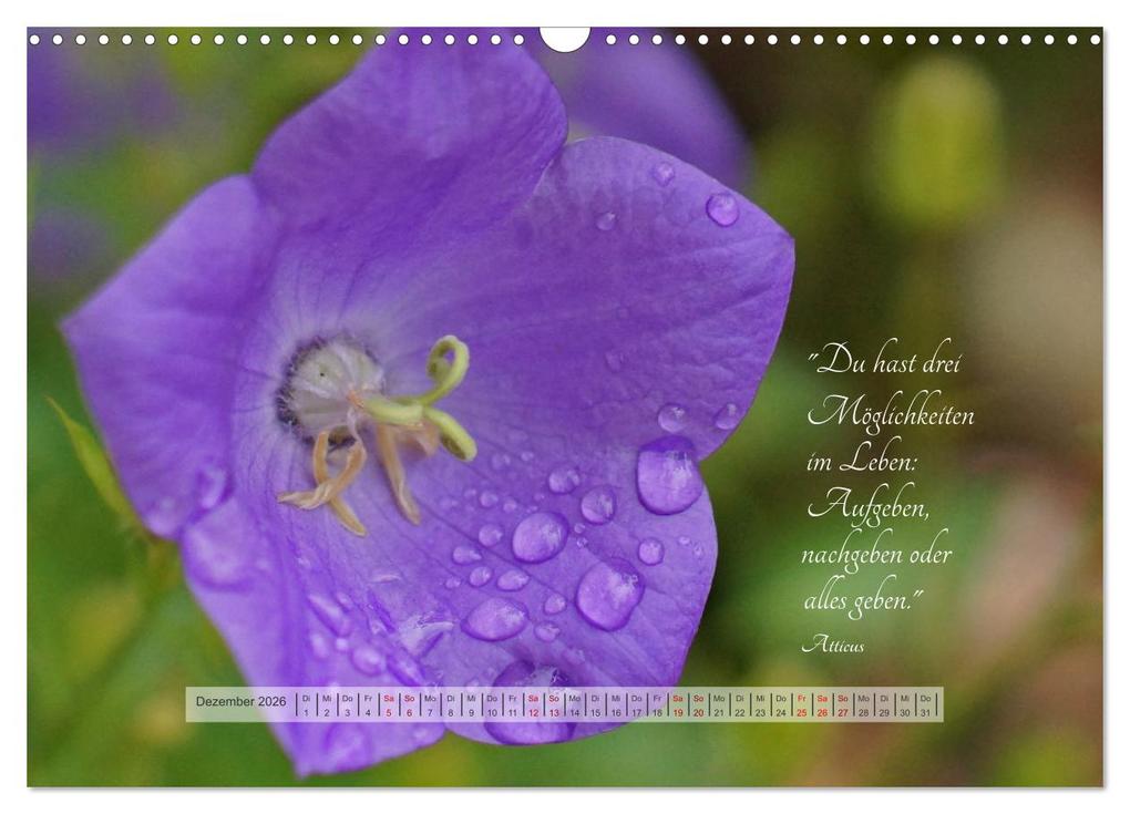 Weitere Ansicht: Motivierende Sprüche - gestärkt durch das Jahr (Wandkalender 2026 DIN A3 quer), CALVENDO Monatskalender | Beate Bussenius, Calvendo