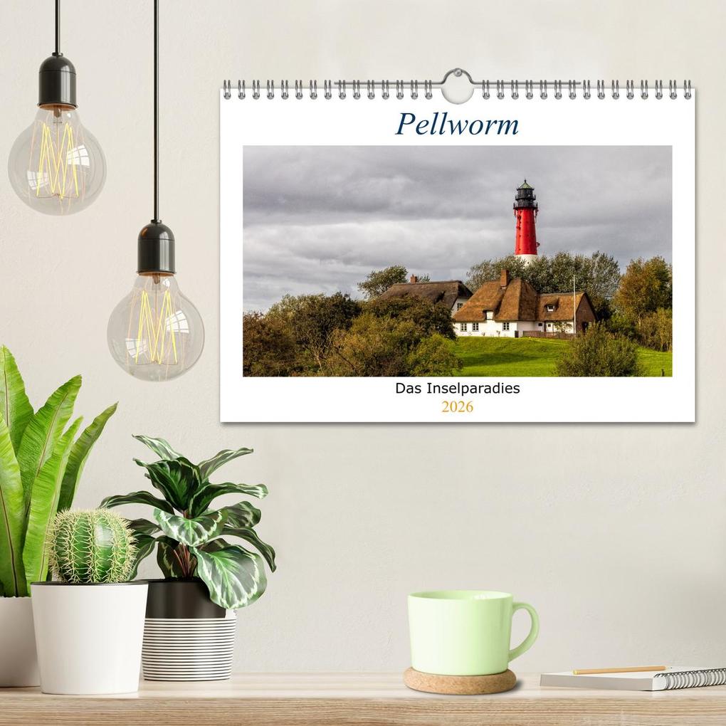 Weitere Ansicht: Pellworm - Das Inselparadies (Wandkalender 2026 DIN A4 quer), CALVENDO Monatskalender | Calvendo, AkremaFotoArt, AkremaFotoArt AkremaFotoArt