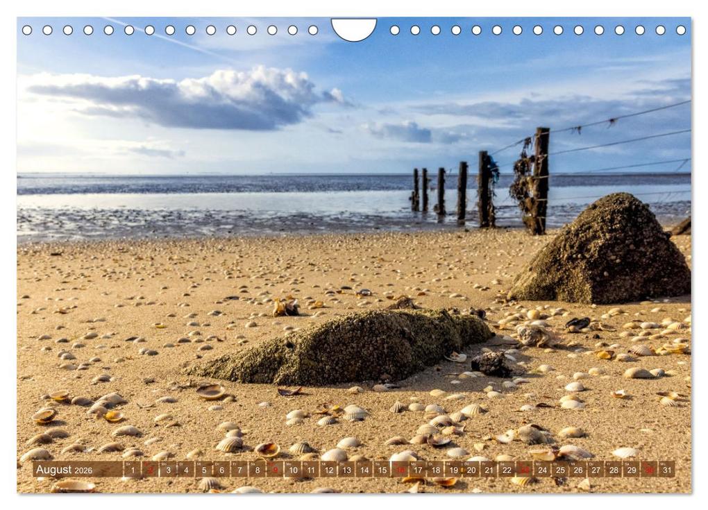 Weitere Ansicht: Pellworm - Das Inselparadies (Wandkalender 2026 DIN A4 quer), CALVENDO Monatskalender | Calvendo, AkremaFotoArt, AkremaFotoArt AkremaFotoArt