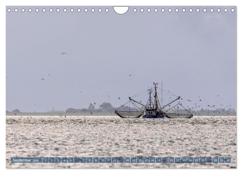 Weitere Ansicht: Pellworm - Das Inselparadies (Wandkalender 2026 DIN A4 quer), CALVENDO Monatskalender | Calvendo, AkremaFotoArt, AkremaFotoArt AkremaFotoArt