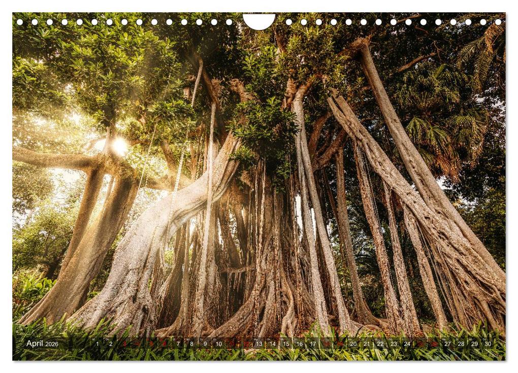 Weitere Ansicht: Die Kanarische Inseln Teneriffa, Gran Canaria und Fuerteventura (Wandkalender 2026 DIN A4 quer), CALVENDO Monatskalender | Calvendo, Patrick Rosyk